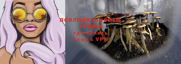 соль ск Алексеевка