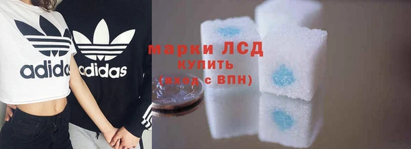 индика Алзамай