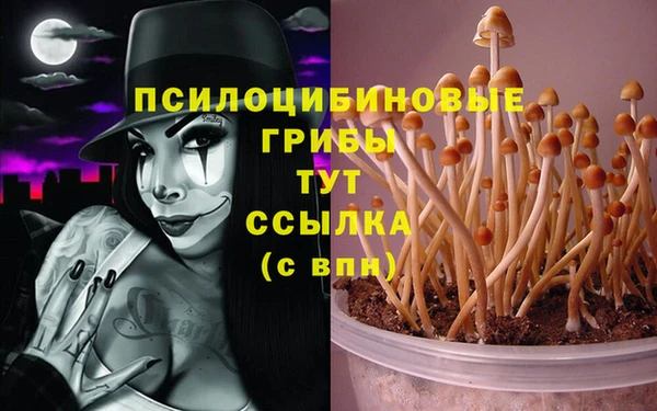 spice Алексин